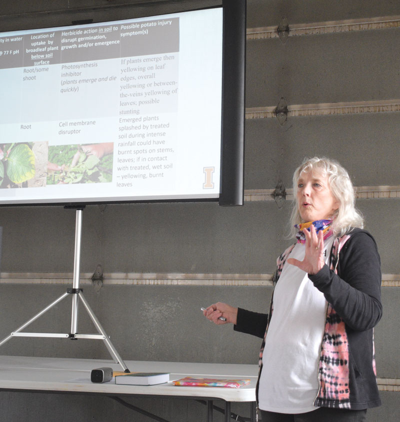 Pam Hutchinson talks about excess spring rain that had no lasting effects on her potato trails or on growers’ spuds.